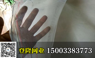 青蛙養殖圍網多少錢一米