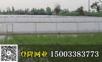 青蛙養殖圍網多少錢一米