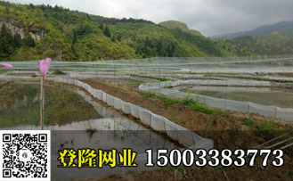 青蛙養殖圍網多少錢一米