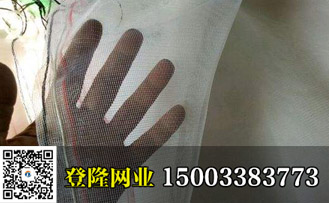 青蛙圍網