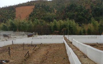 四川1.2米青蛙養殖圍網 質量沒的說