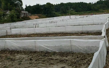 青蛙養殖防逃網多少錢一平米