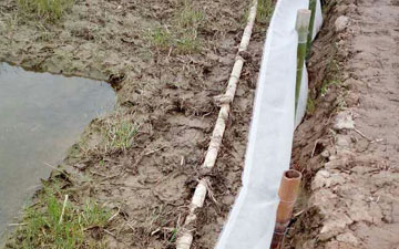 養殖青蛙圍網高度多少比較好