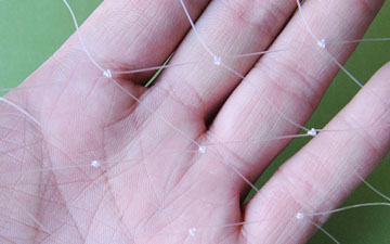 牛蛙池子天網怎么搭建