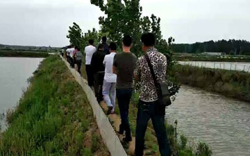 蛙池圍網怎么圍與埋