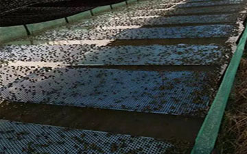 牛蛙打孔養殖海綿墊生產廠家