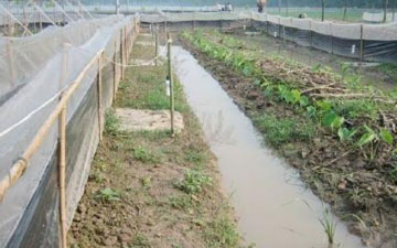 青蛙防逃圍網價格多少錢一斤