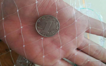 養殖青蛙天網怎么拉