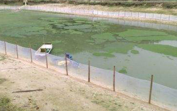 蛙類養殖圍網規格