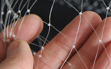 養殖青蛙天網怎么搭建