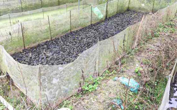 青蛙池用絲網布生產廠家