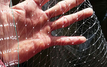 養青蛙上面罩的網