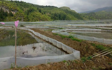 青蛙防逃網埋多深