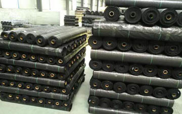 新型青蛙食臺紗網