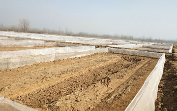 蟾蜍防逃圍網生產廠家