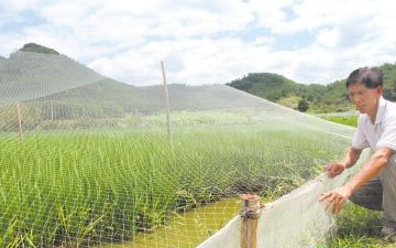 蟾蜍養殖用紗網生產廠家