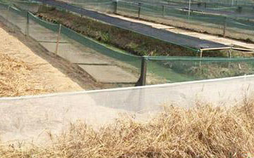 青蛙池外網生產廠家