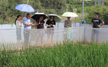 河北青蛙防逃網規格與價格