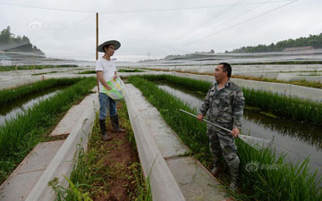 蛙類養殖基地圍網
