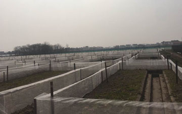 11.JPG
