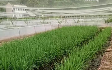 專注青蛙用圍網生產批發廠家