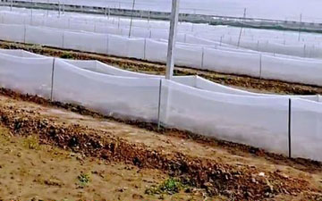 吉林青蛙防逃網生產廠家