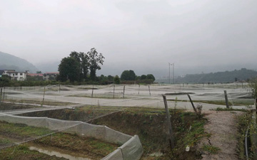 19.JPG