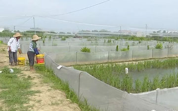 池塘圍網直接生產廠家