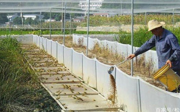 青蛙池塘圍欄網生產廠家